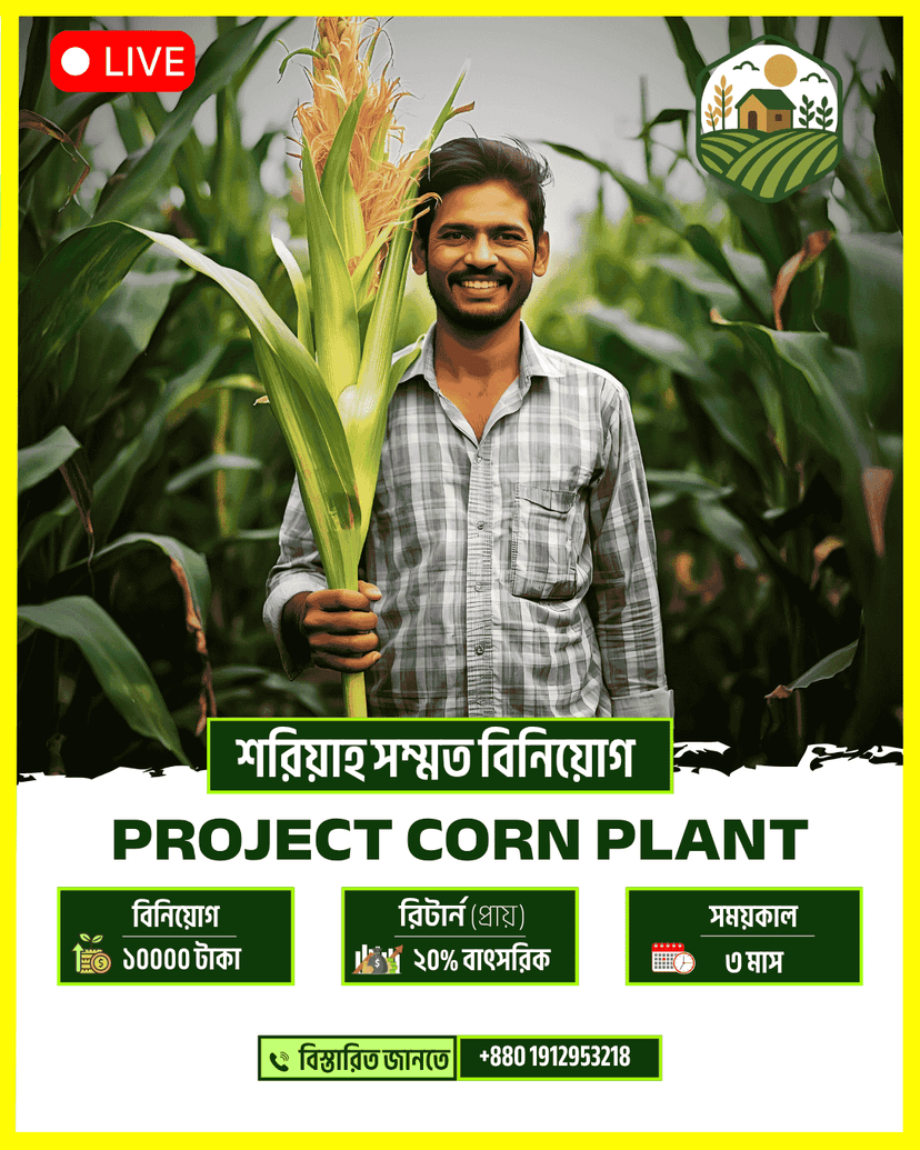 ভুট্টা চারা উৎপাদন প্রজেক্ট (৩ মাসের ইনভেস্টমেন্ট) - ছবি 2
