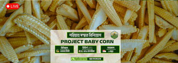 PROJECT BABY CORN - ছবি 1